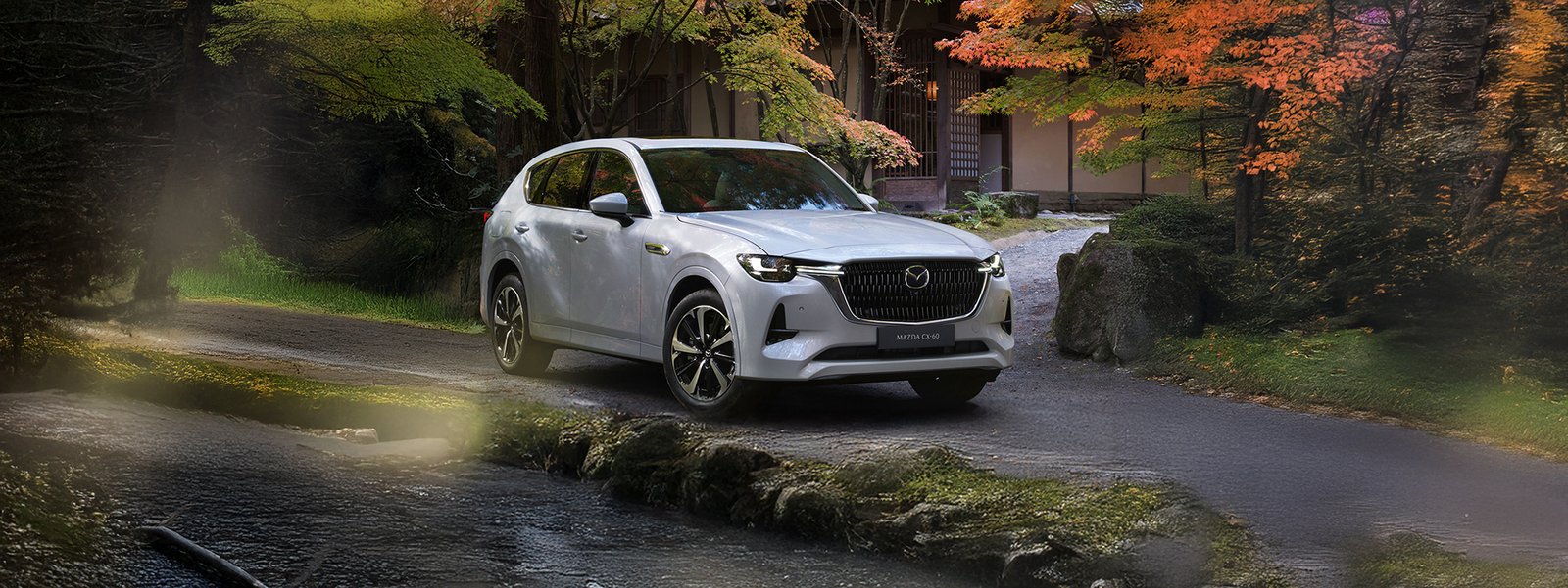 Description of the image